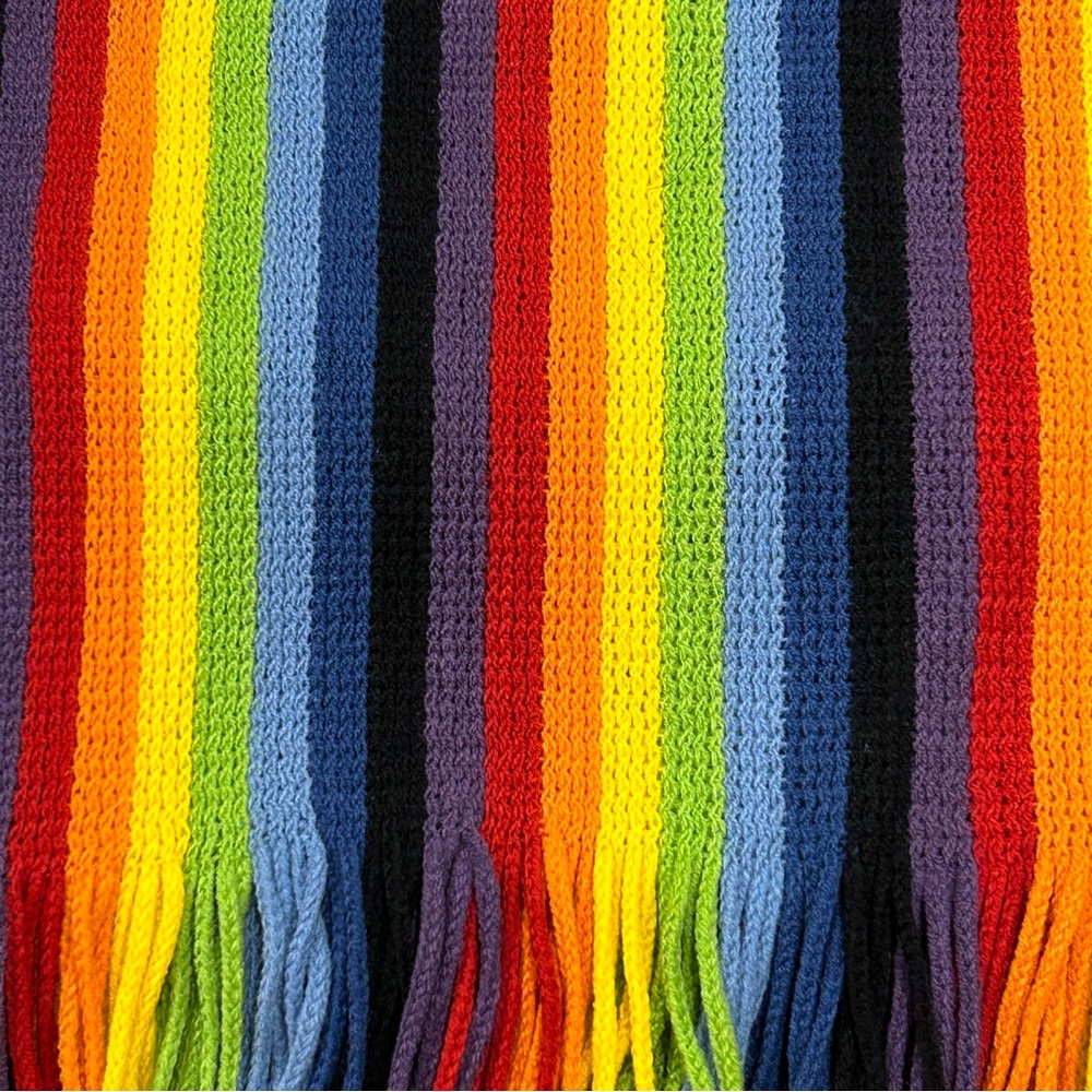 Multi Colored Winter Knit Scarf - image 2